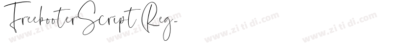 FreebooterScript Reg字体转换